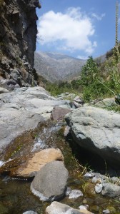 Parque Quebrada de Macul 