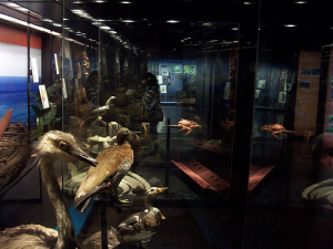 El Museo Nacional de Historia Natural.