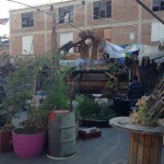 «La Jardín», el restaurante que te cautiva desde su entrada