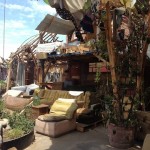 «La Jardín», el restaurante que te cautiva desde su entrada