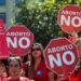 Despenalización del aborto: Comisión de la Cámara rechaza en general el proyecto de ley