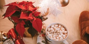 DECORACIÓN: Cuida tu Flor de Pascua para que dure sana todo el año