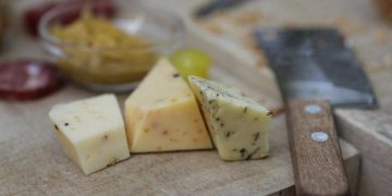 ¿Qué pasa en tu cuerpo si comes queso todos los días?