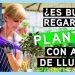 Todos los beneficios que tiene para tus plantas el agua de lluvia