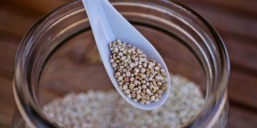 El superalimento que no puede faltar en tu dieta: adelgaza, cuida la piel y te hace ganar músculo