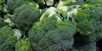 Esto es lo que le pasa a tu cuerpo si comes brócoli todos los días