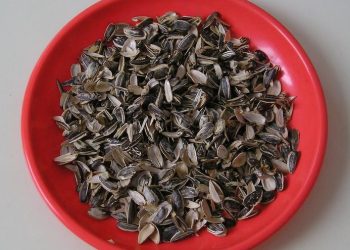 Esto es lo que ocurre en tu cuerpo si comes pipas todos los días