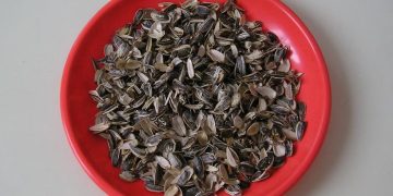 Esto es lo que ocurre en tu cuerpo si comes pipas todos los días