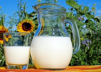 Así reacciona tu organismo si bebes leche todos los días