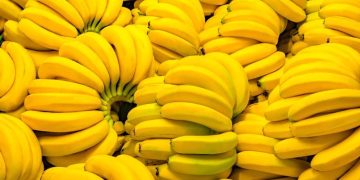 ¿Cuántos plátanos se pueden comer al día? Los peligros de abusar