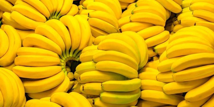 ¿Cuántos plátanos se pueden comer al día? Los peligros de abusar