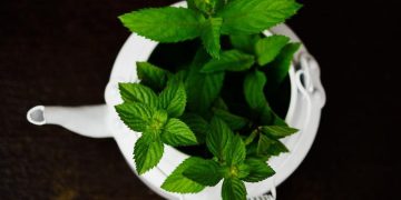 El delicioso té que te ayudará a bajar de peso si lo tomas después de comer