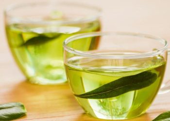 Los beneficios de beber una taza de té