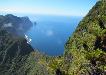Marcia Ritchie: Investigadora  botánica de prestigio mundial