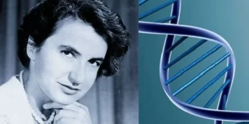 Rosalind Franklin (Reino Unido): la descubridora de la estructura del ADN
