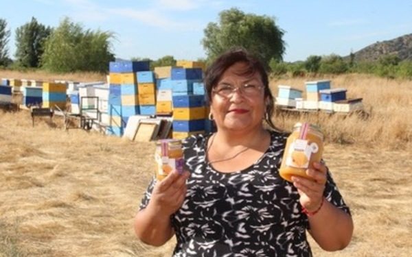 Mónica Rodríguez Fica: La Reina de las Abejas
